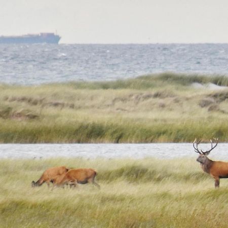 Fewo-Kramm Ostseebad Dierhagen Esterno foto